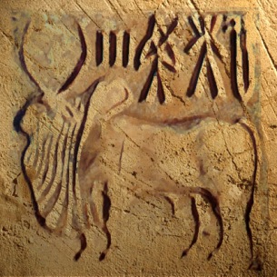 D’après un sceau à motif de zébu en stéatite, Harappa, vers 2300-1750 avjc, civilisation de l'Indus. (Marsailly/Blogostelle)