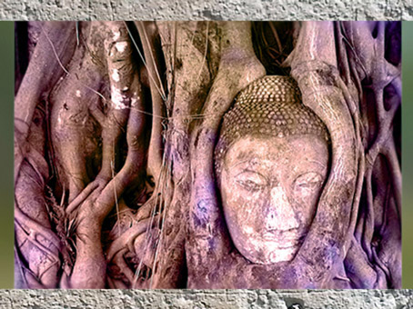 D'après le visage de pierre de Buddha émergeant de l'Arbre, Wat Maha That, parc Ayutthaya, Thaïlande. (Marsailly/Blogostelle)