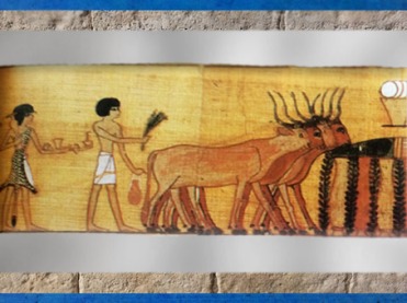 D'après la procession et offrandes, Livre des Morts de Nebqued, papyrus peint, vers 1400 avjc, Nouvel Empire, Égypte ancienne. (Marsailly/Blogostelle)