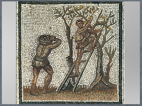 D'après la cueillette des olives, mosaïque de Saint-Romain-en-Gal, début IIIe siècle, Vienne, Rhône, France, Gaule Romaine. (Marsailly/Blogostelle)